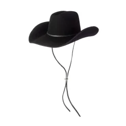 Texas Felted Hat